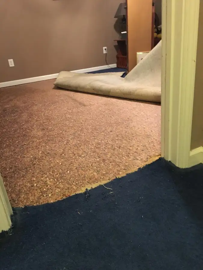 Carpet pad removal revealing water damage during Drying & Dehumidification in Upper Makefield