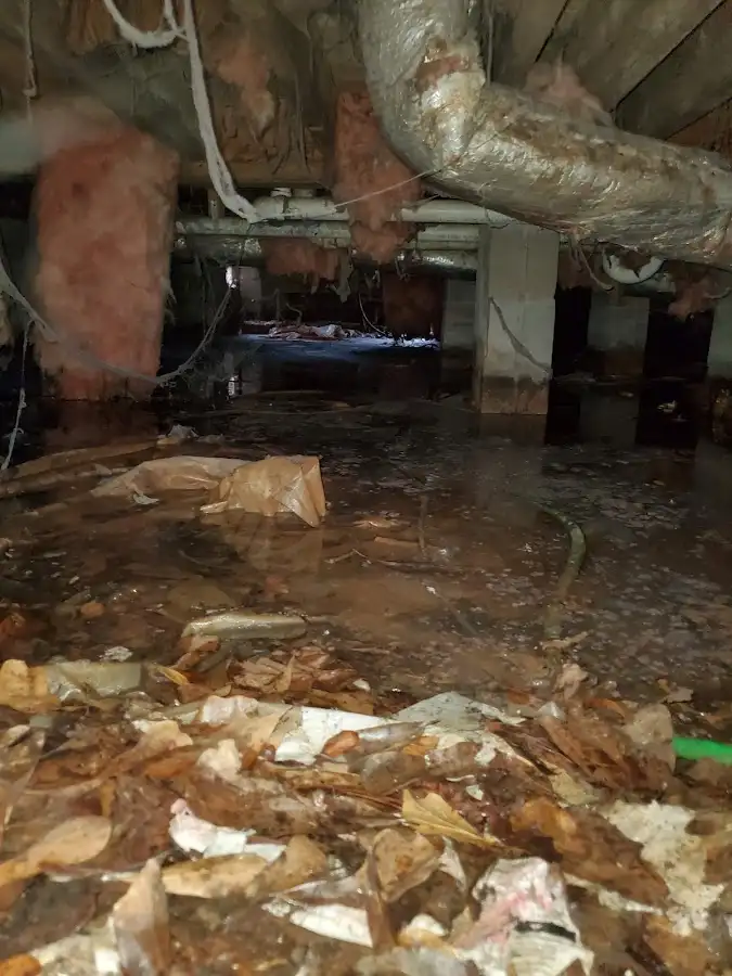 Crawl space flood assessment for Leak Detection & Repair in Upper Makefield